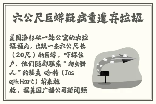 草莓视频18岁禁看